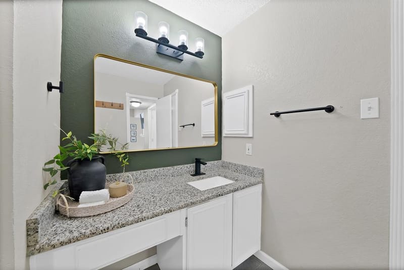 6732 Silver Sage Drive, Fort Worth TX 76137 - Photo 23