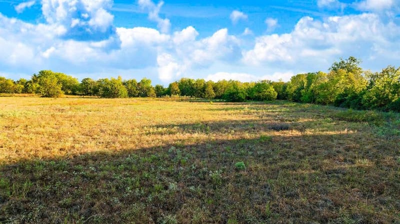 TBD Farm Market 905, Paris TX 75462 - Photo 6