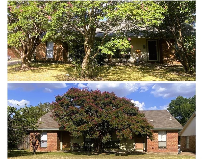 1107 Park Street, Arlington TX 76011 - Photo 3