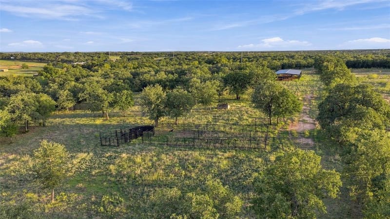 747 Cowley Road, Perrin TX 76486 - Photo 36