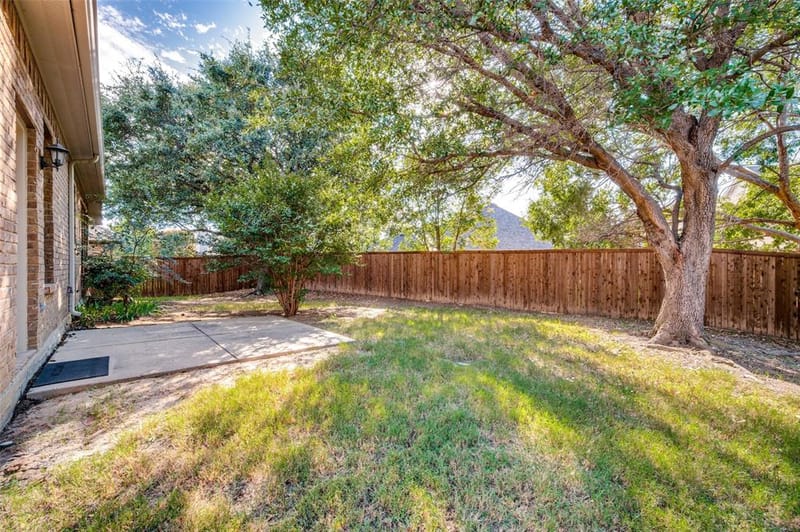 8375 Davis Drive, Frisco TX 75036 - Photo 19