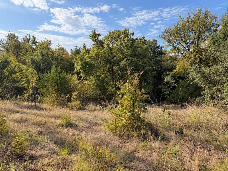 1708 W Main Street, Gatesville TX 76528 - Photo 27