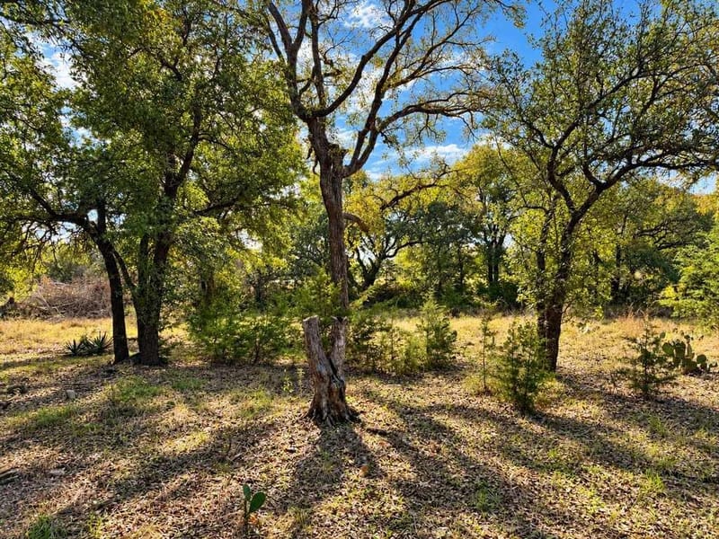 1708 W Main Street, Gatesville TX 76528 - Photo 25