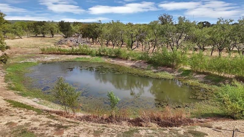 435 Gene Lee Road, Mineral Wells TX 76067 - Photo 37