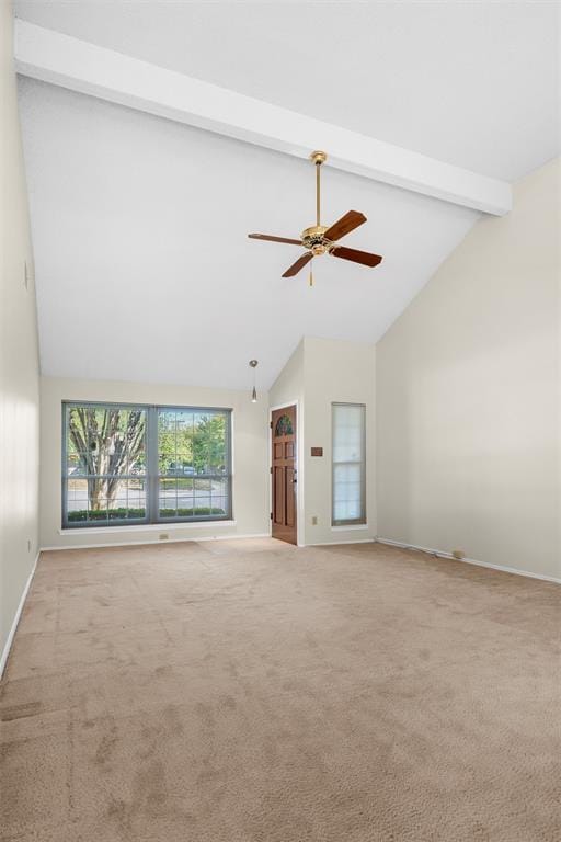 2608 Chestnut Court, Bedford TX 76022 - Photo 10