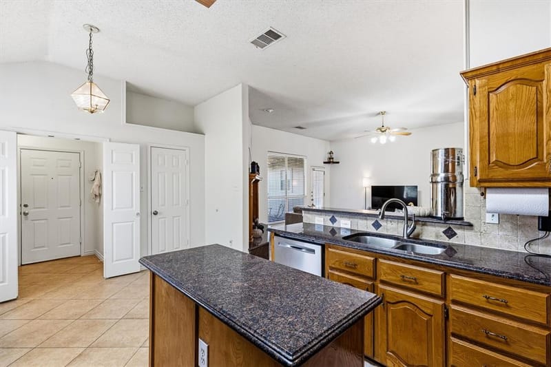409 Danmire Drive, Murphy TX 75094 - Photo 11