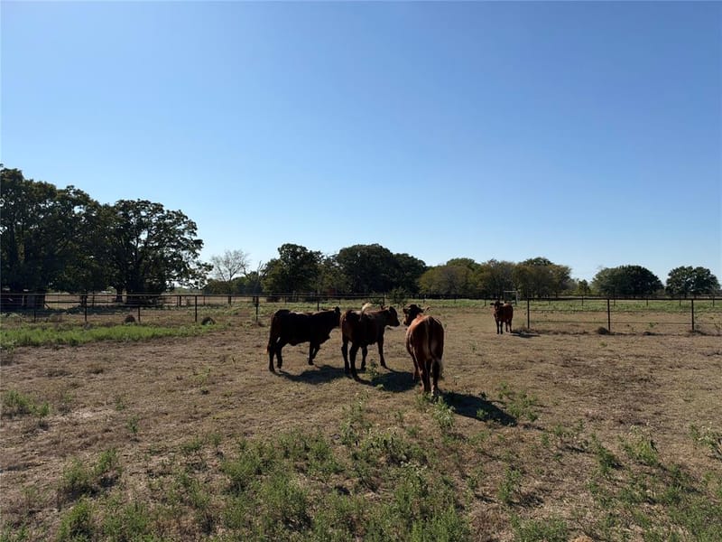 9636 Fm 3094, Scurry TX 75158 - Photo 14