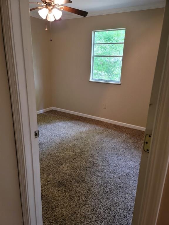 3009 Malvern Street, Bossier City LA 71111 - Photo 14