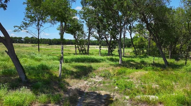 504 Bayleelove Lane, Van Alstyne TX 75495 - Photo 3