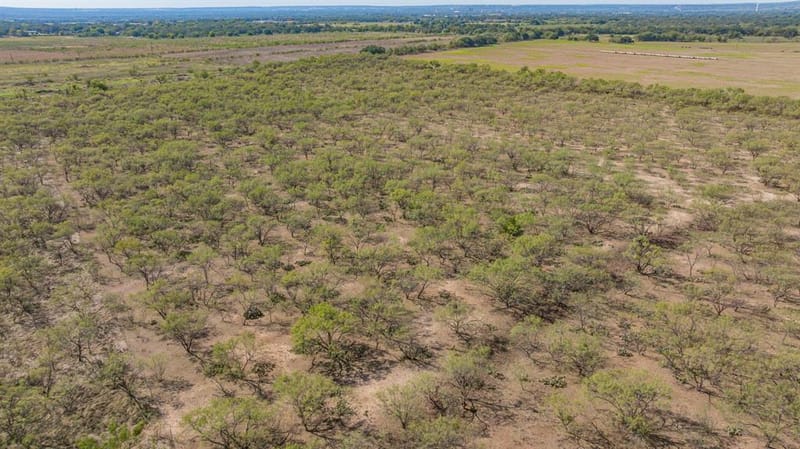 3445 County Road 337, Early TX 76802 - Photo 39