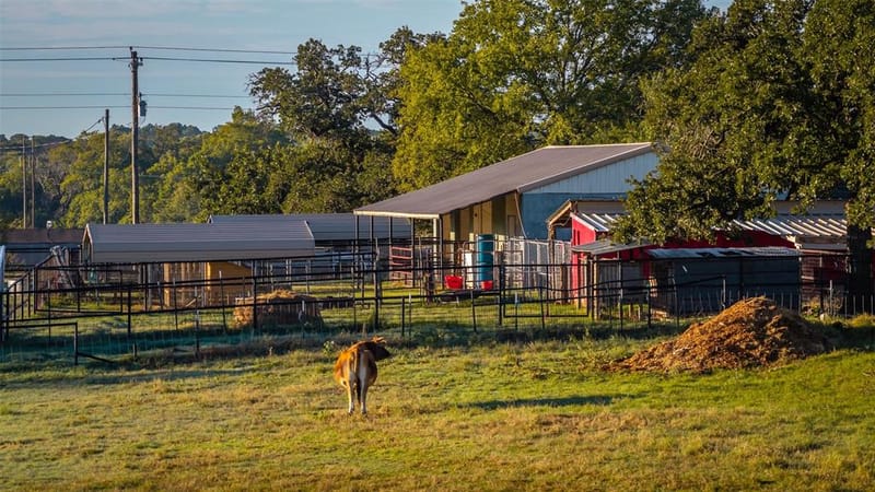 3559 Springfield Road, Springtown TX 76082 - Photo 35