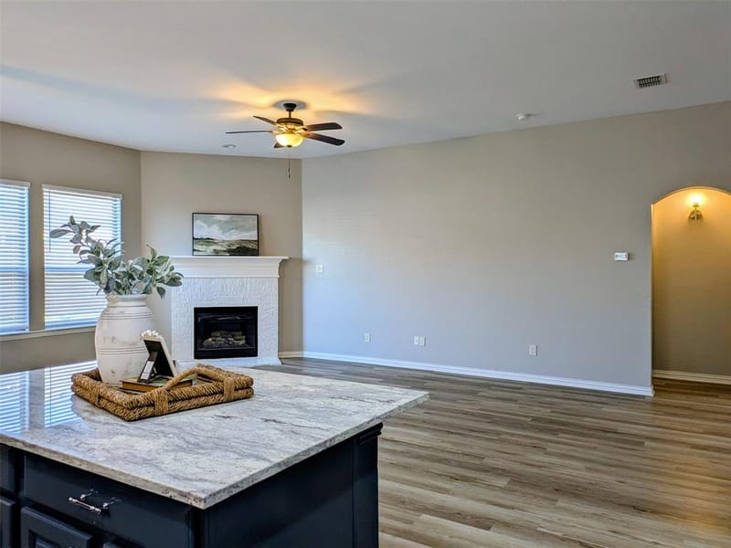 1609 Kittyhawk Drive, Little Elm TX 75068 - Photo 11