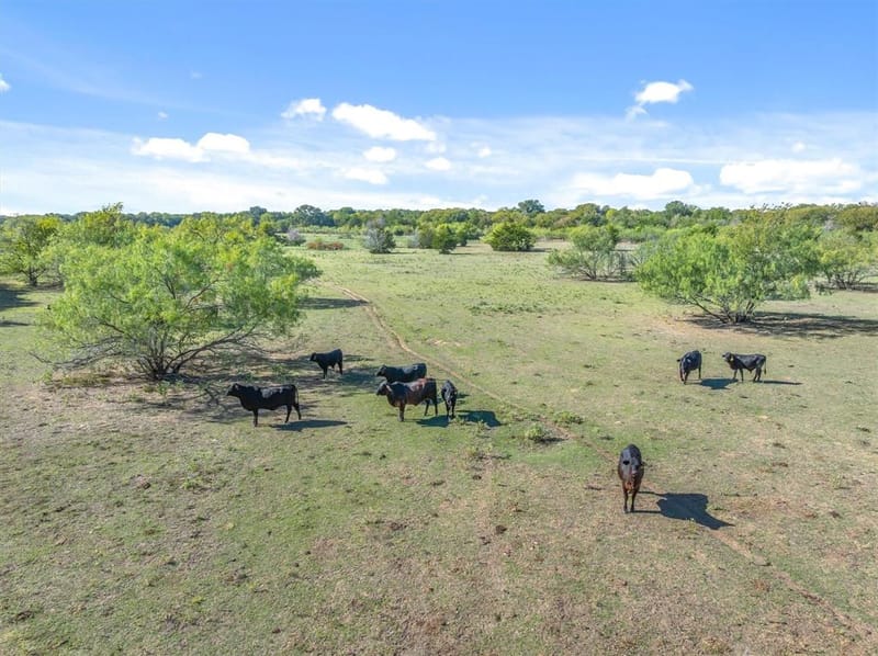 15993 County Road 4059, Kemp TX 75143 - Photo 30
