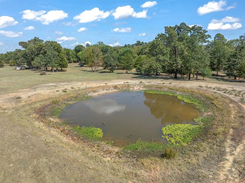 1701 Vz County Road 3211, Wills Point TX 75169 - Photo 38