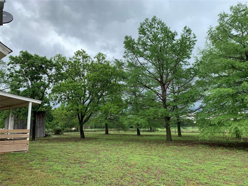1225 S Texas Street, De Leon TX 76444 - Photo 13