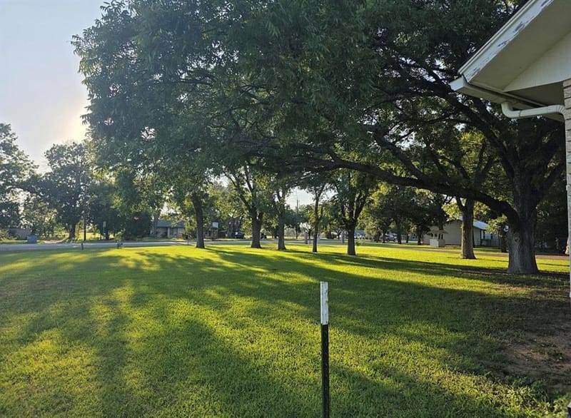 1225 S Texas Street, De Leon TX 76444 - Photo 22