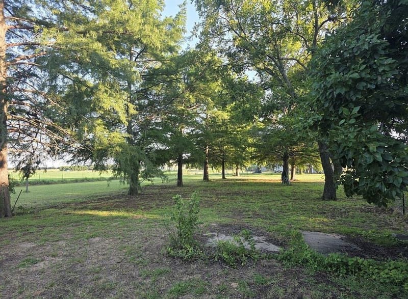 1225 S Texas Street, De Leon TX 76444 - Photo 19