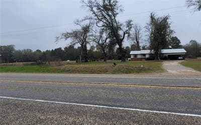 2050 W State Highway 64 Highway, Ben Wheeler TX 75754 - Photo 5