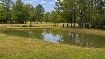 2050 W State Highway 64 Highway, Ben Wheeler TX 75754 - Photo 4