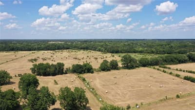 2238 County Road 1081, Greenville TX 75401 - Photo 3
