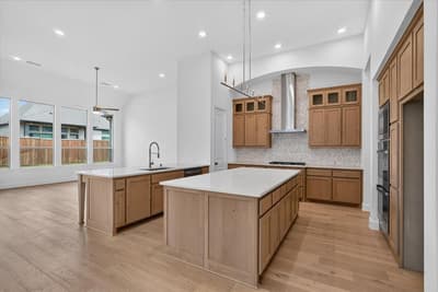 837 Bridle Path Parkway, Aubrey TX 76227 - Photo 4