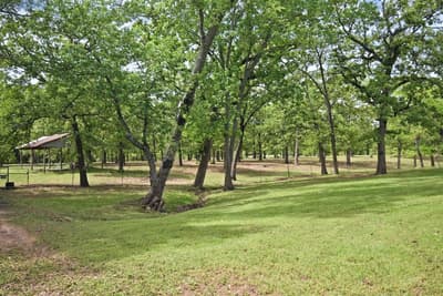 599 County Road 1260, Quitman TX 75783 - Photo 5