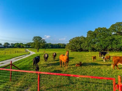 141 County Road 4793, Boyd TX 76023 - Photo 2