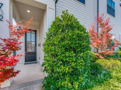 732 W 7th Street, Dallas TX 75208 - Photo 3