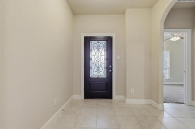 16204 Sparkhill Street, Frisco TX 75036 - Photo 5