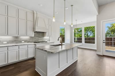 1009 Goldenrod Drive, Justin TX 76247 - Photo 4