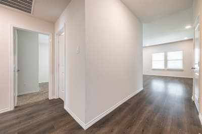 3002 Shetland Street, Forney TX 75126 - Photo 5