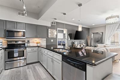 3102 Kings Road # 3201, Dallas TX 75219