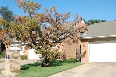 708 Carriage Way, Duncanville TX 75137